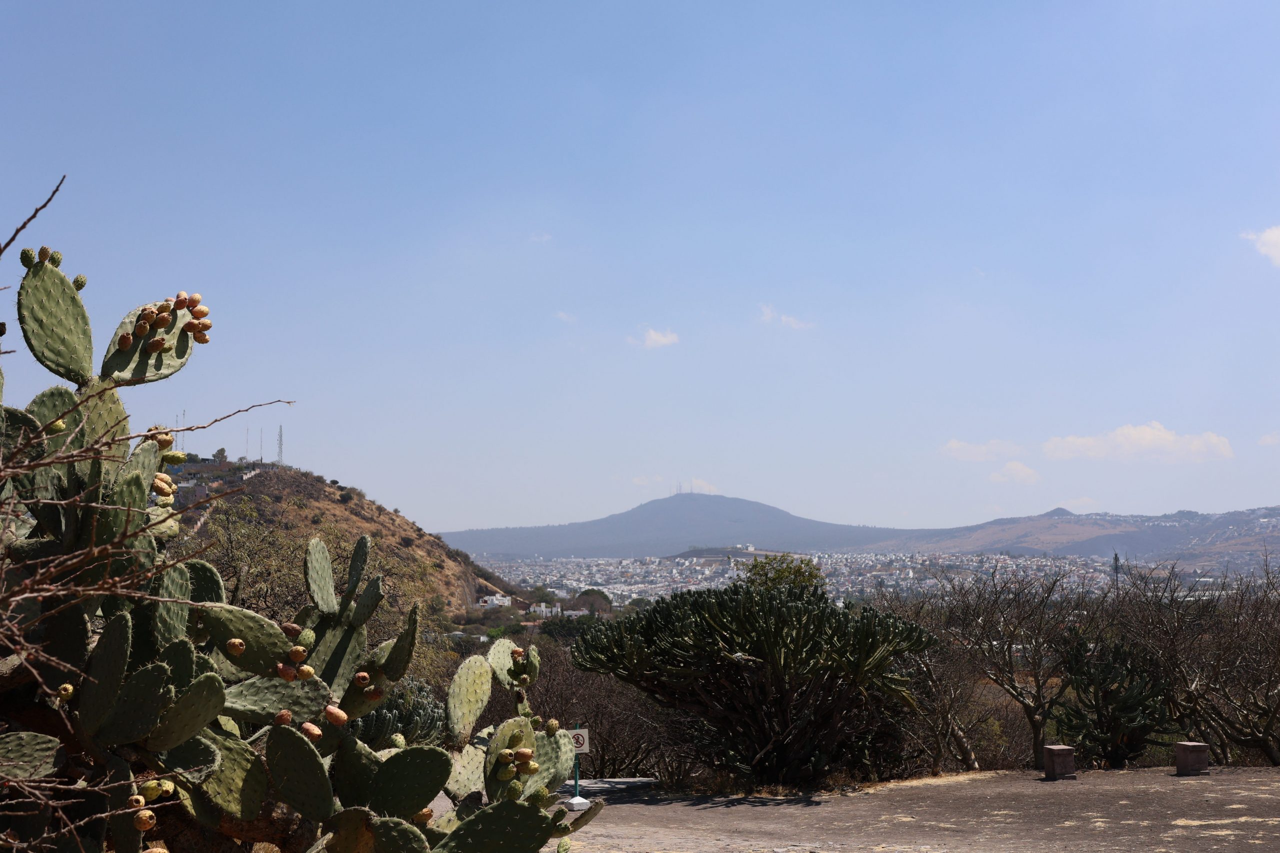 Featured image for “Trip Refections: Mexico 2022”