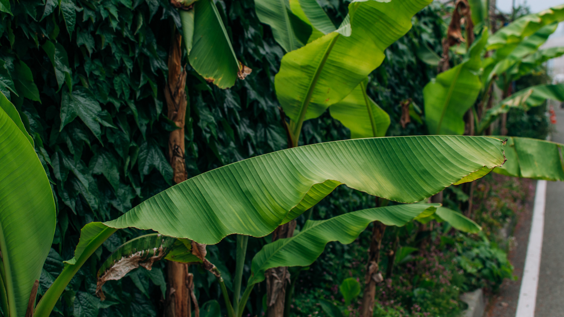 Featured image for “Encouraging the Church in Puerto Rico”